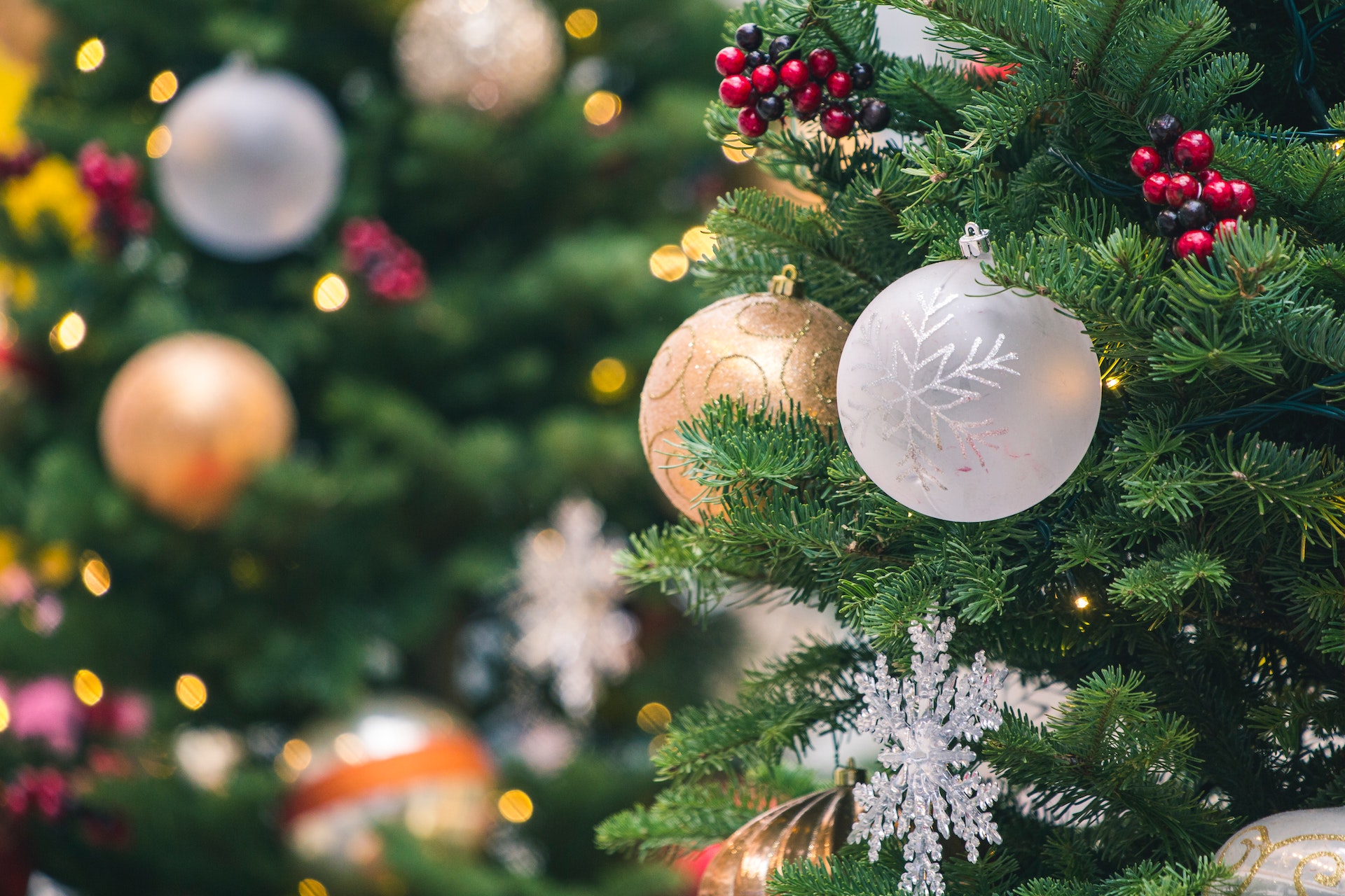 kerstboom laten opzetten