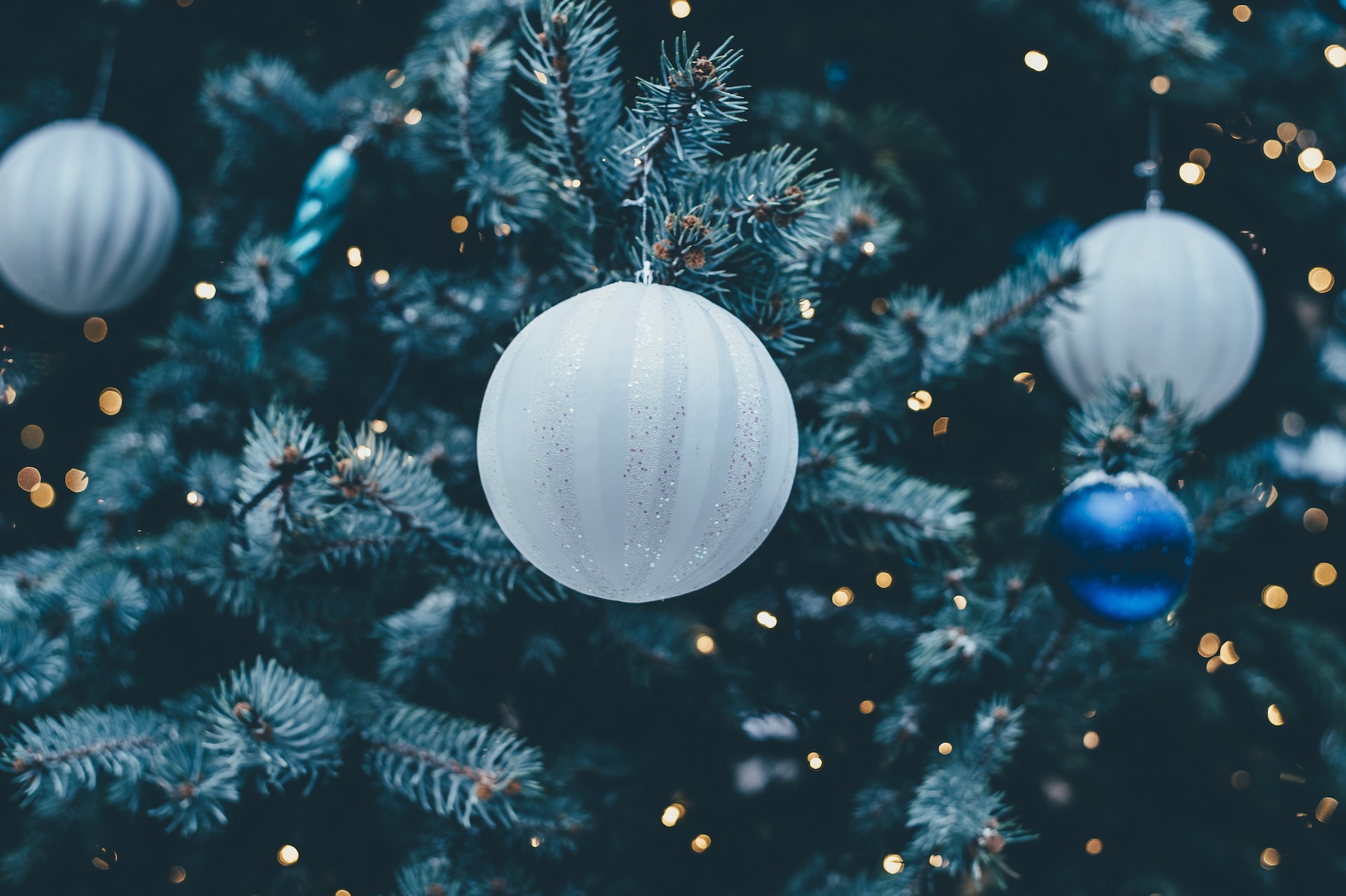 Prachtige kerstboom in Alkmaar huren voor een feestelijke sfeer thuis