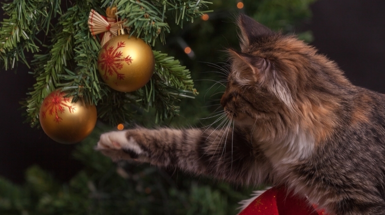 Een stralende opgetuigde kerstboom met zorgvuldig geplaatste ornamenten en lichtjes, perfect voor feestelijke en stressvrije kerstdagen.
