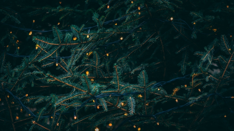 Schitterende gehuurde kerstboom brengt feestelijke sfeer in uw huis - bestel nu voor een zorgeloze kerst in Apeldoorn.