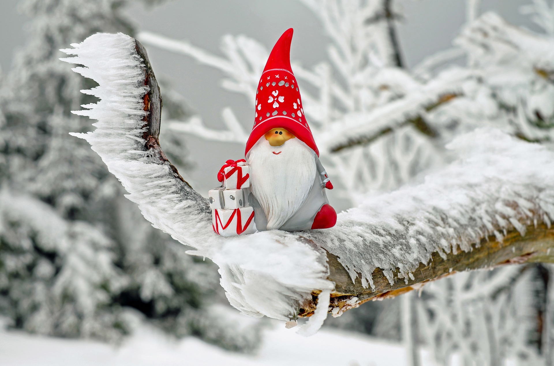 Kerstboom laten opzetten Brabant