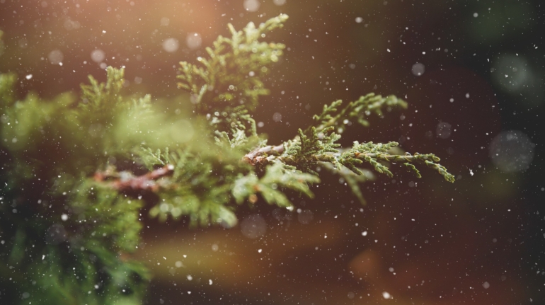 Geniet van feestelijke kerstsfeer met 'Kerstboom laten opzetten' - Ontdek het perfecte moment om uw kunstkerstboom te laten stralen in november.