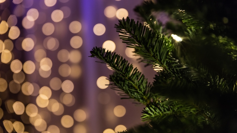 Een prachtige kerstboom transformeert uw huis in Leeuwarden tot een feestelijk paradijs - Huur nu voor betoverende feestdagen!