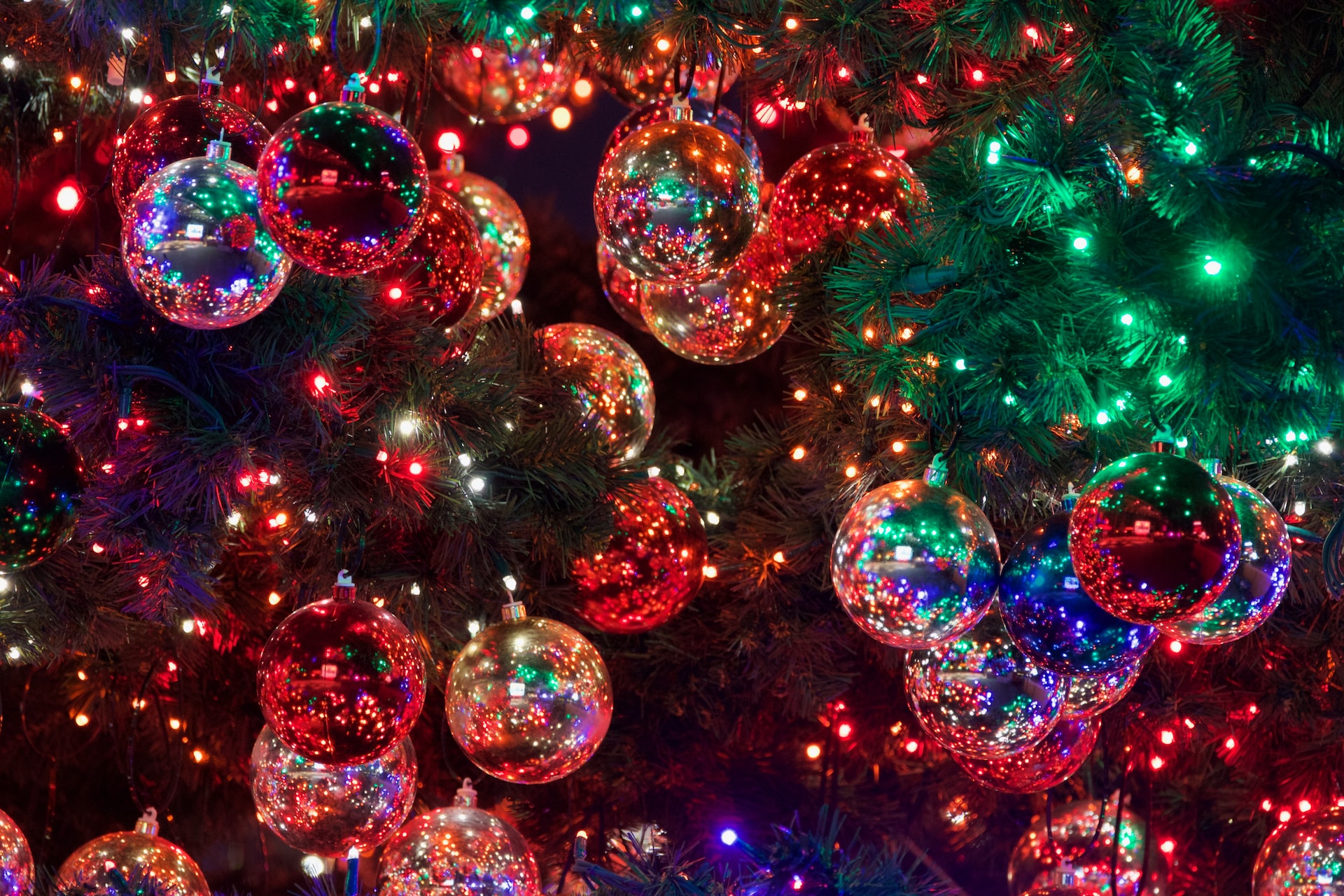 Prachtige kerstbomen in Arnhem - Duurzaam, stijlvol en feestelijk! Transformeer uw huis met onze milieuvriendelijke kerstboomcollectie.