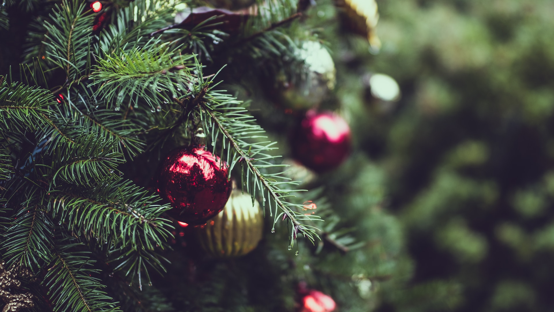 Sfeervolle aangeklede kerstboom in diverse thema's voor een betoverend feestseizoen - Gemak, stijl en warmte voor uw feestdagen.