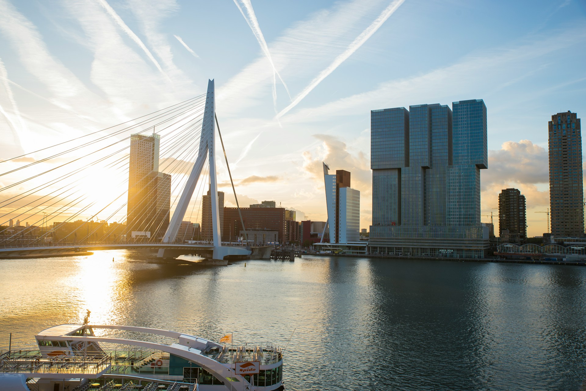 Betoverende kerstsfeer met de beste kerstbomen in Rotterdam - duurzaamheid, decoraties en verlichtingstips.
