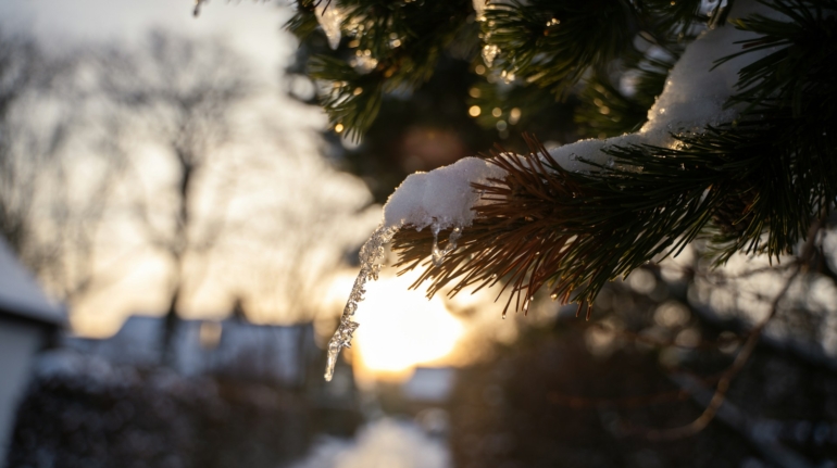 Prachtig versierde kunstkerstboom in zakelijke omgeving - Kerstbomen Huren Zakelijk bij Kerstboom laten opzetten.