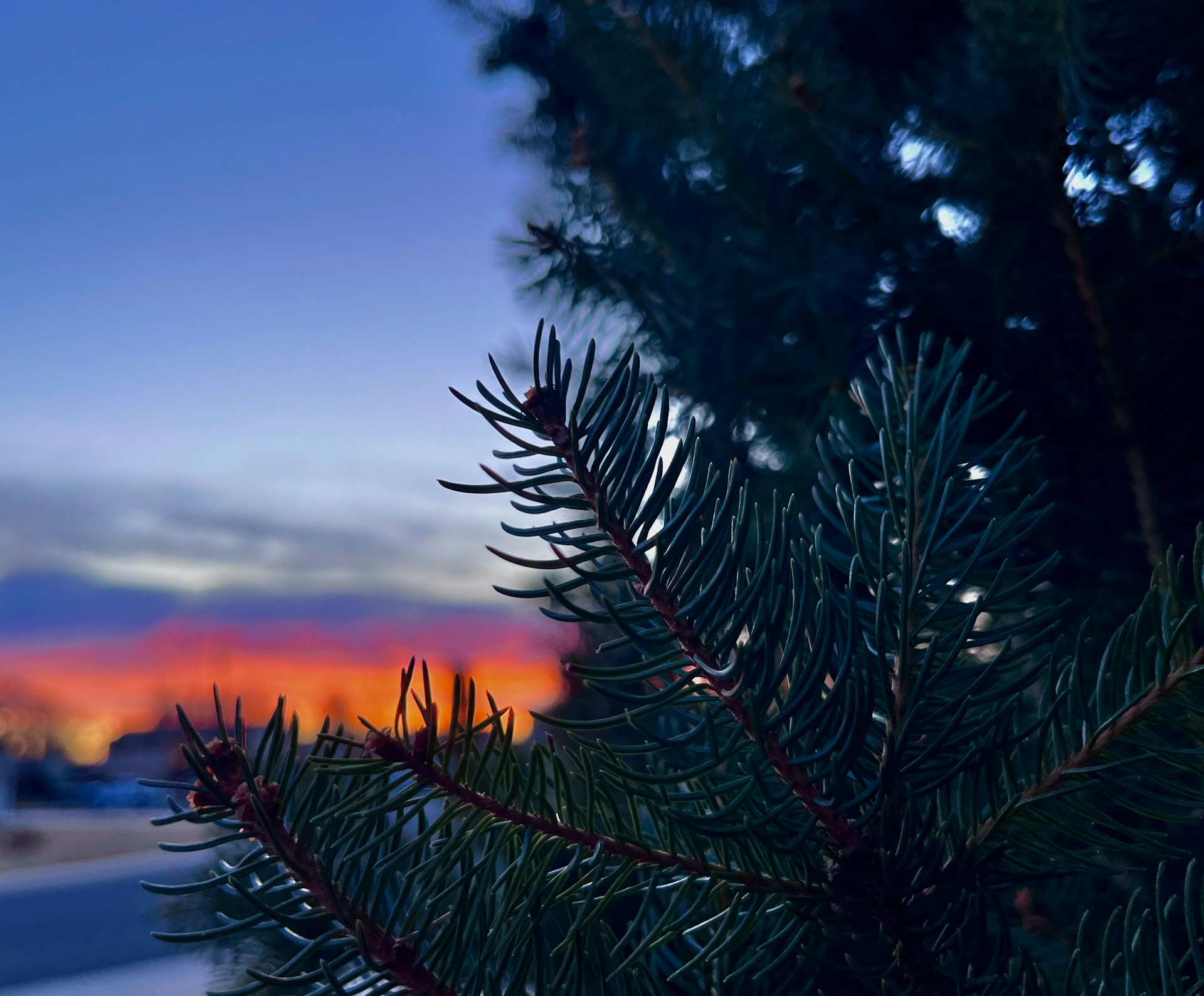 Prachtige kunstkerstboom van Kerstboom laten opzetten - Geen kerstboom, maar iets anders?