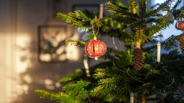 Een sfeervol ingericht kantoor met een prachtig versierde kerstboom, perfect voor iedereen die tijdens de feestdagen een kerstboom wil huren in Den Haag.
