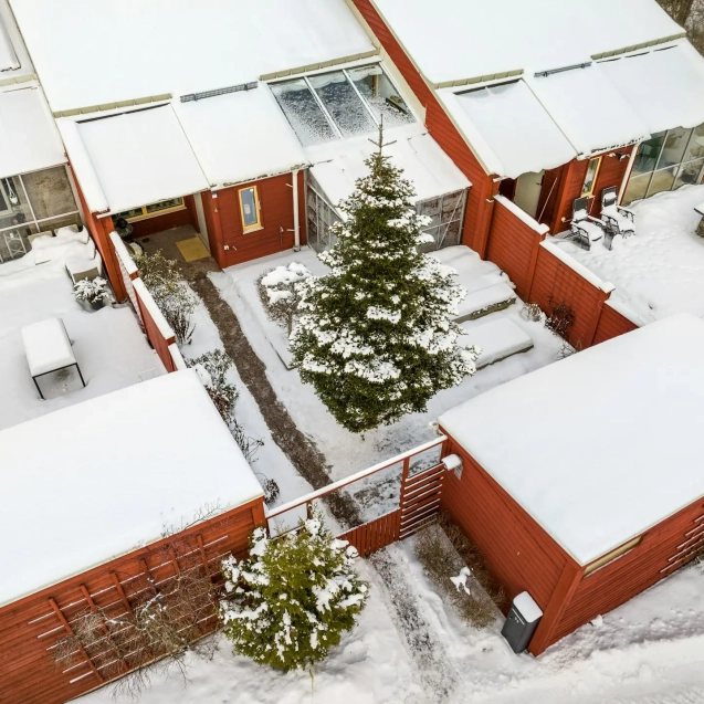 Geniet van een zorgeloos kerstfeest met een gehuurde kerstboom in Eindhoven, versierd met lichtjes en prachtige ornamenten.