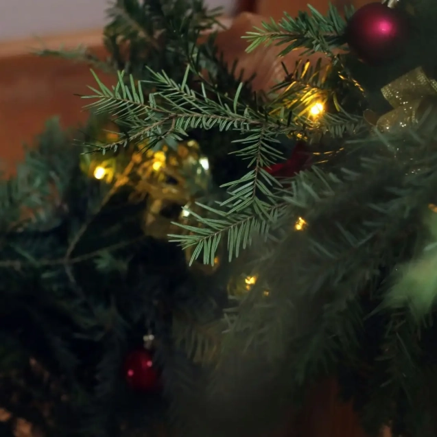 Vier de feestdagen zonder gedoe met 'kerstboom huren Groningen' - de perfecte oplossing voor een sfeervolle kerst in de stad!