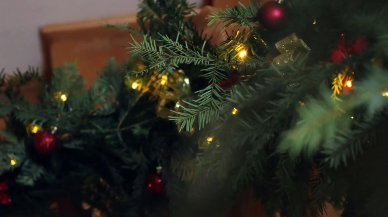Vier de feestdagen zonder gedoe met 'kerstboom huren Groningen' - de perfecte oplossing voor een sfeervolle kerst in de stad!