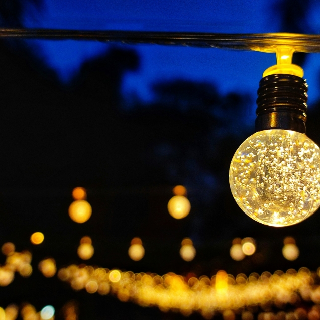 Een gezellig mooie kerstboom huren in Center Parcs voor een feestelijke sfeer.