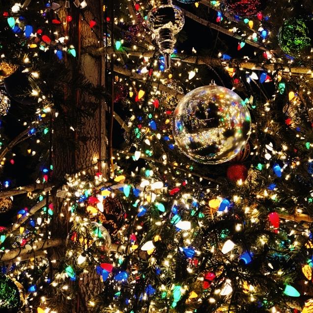 Een gezellige woonkamer in Haarlem met een kerstboom. Een goed voorbeeld van hoe je een kerstboom kunt huren in Haarlem.