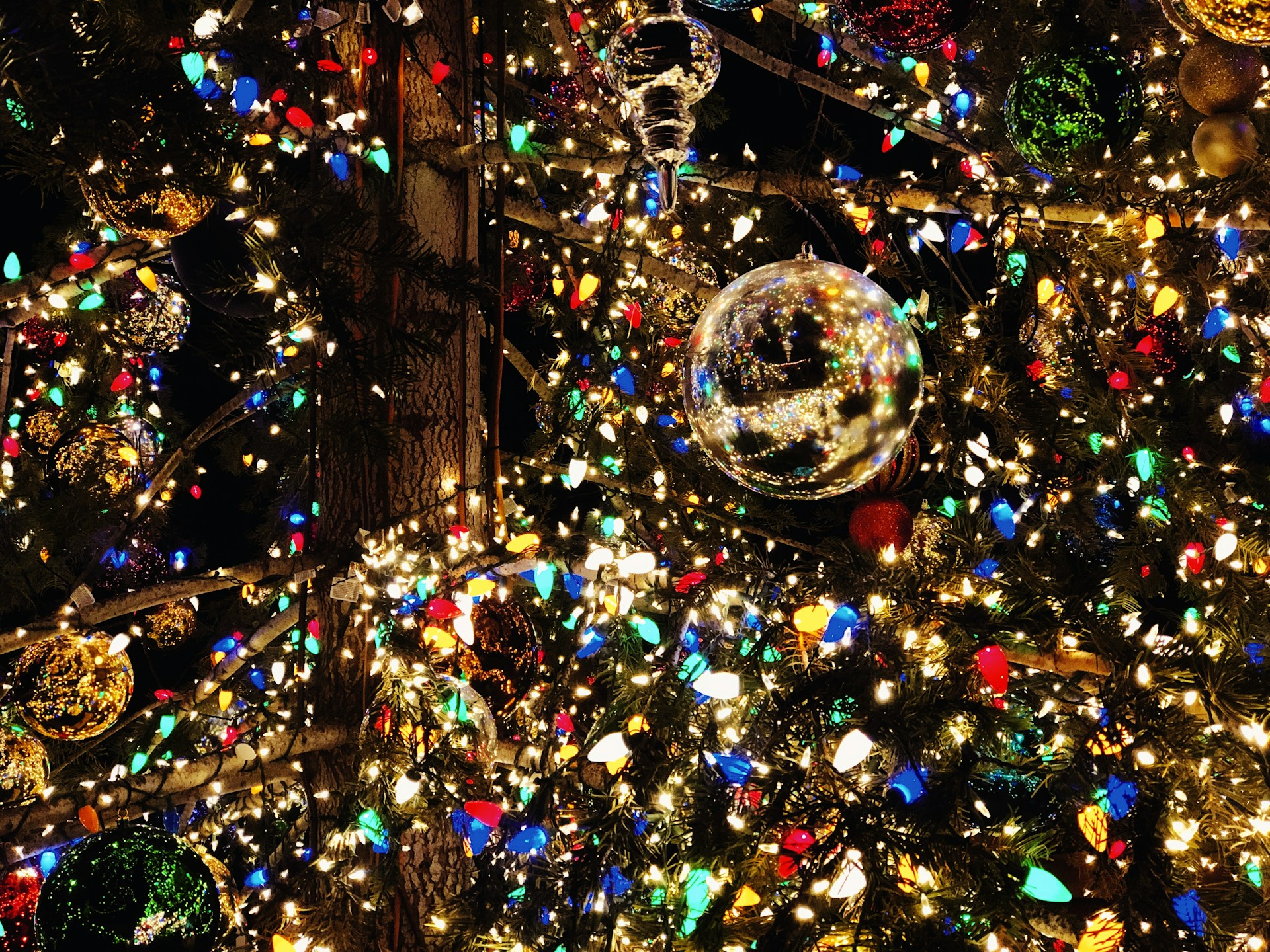 Een gezellige woonkamer in Haarlem met een kerstboom. Een goed voorbeeld van hoe je een kerstboom kunt huren in Haarlem.