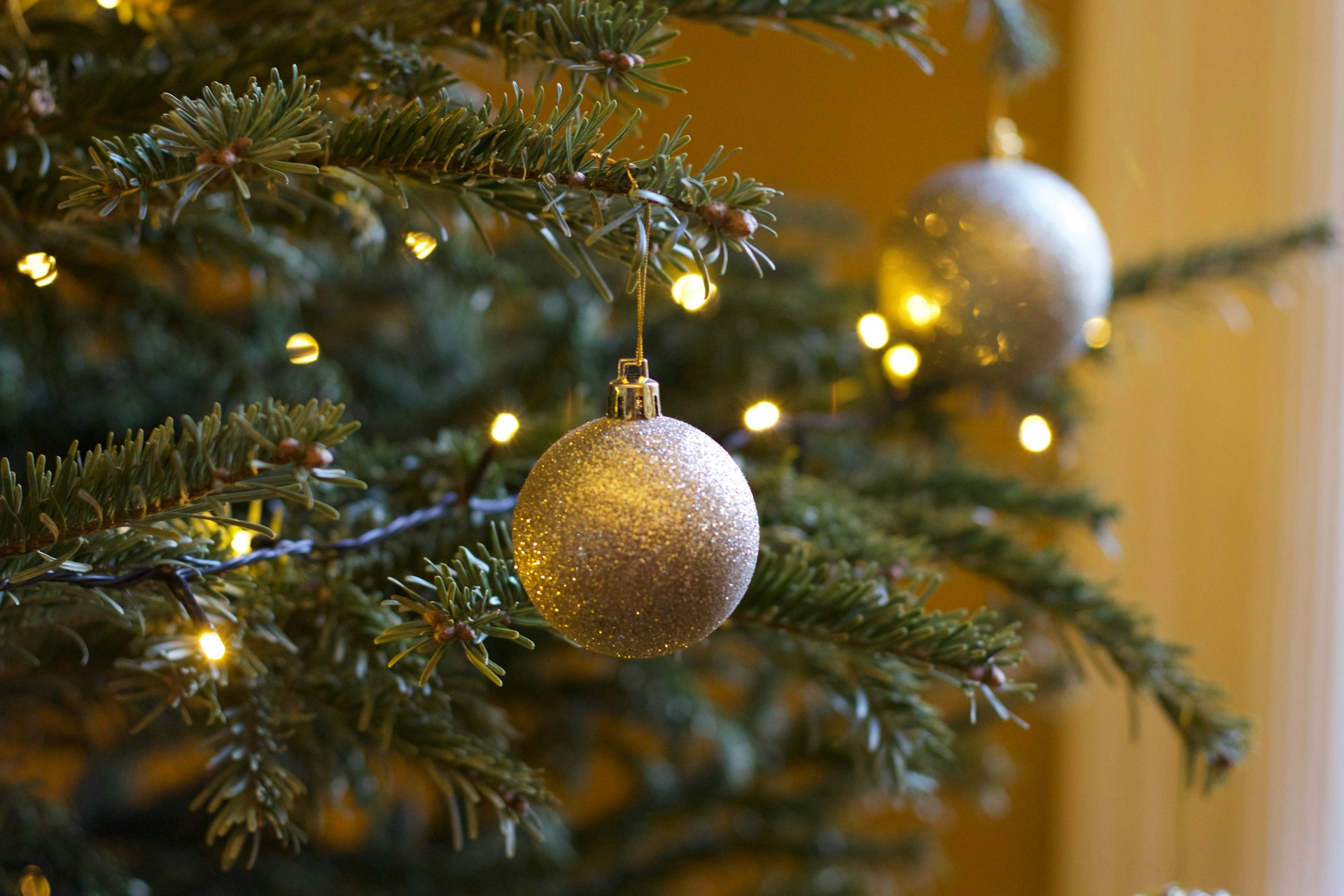 De versierde kerstboom met verlichting en ornamenten van onze kerstbomenverhuur is perfect voor een gezellige kerstsfeer in uw ruimte.