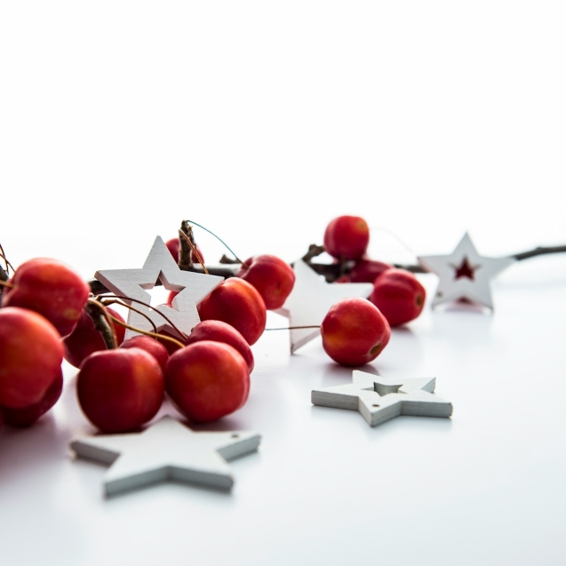 Kerstboom huren in Gouda voor bedrijven – snel en zonder zorgen geleverd.