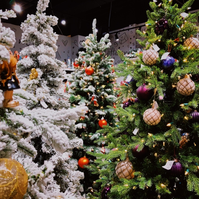 Een kerstboom huren in Friesland voor uw bedrijf of uzelf, met verschillende stijlen en maten om de feestdagen te vieren.