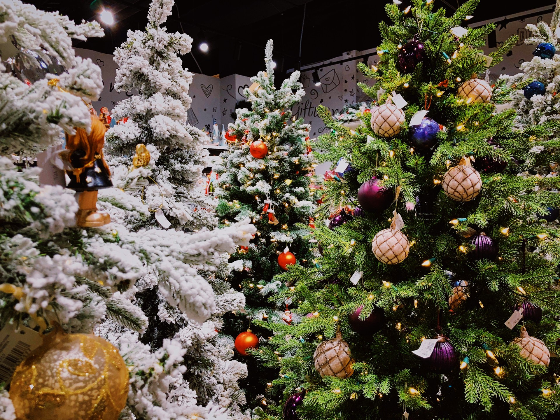 Een kerstboom huren in Friesland voor uw bedrijf of uzelf, met verschillende stijlen en maten om de feestdagen te vieren.