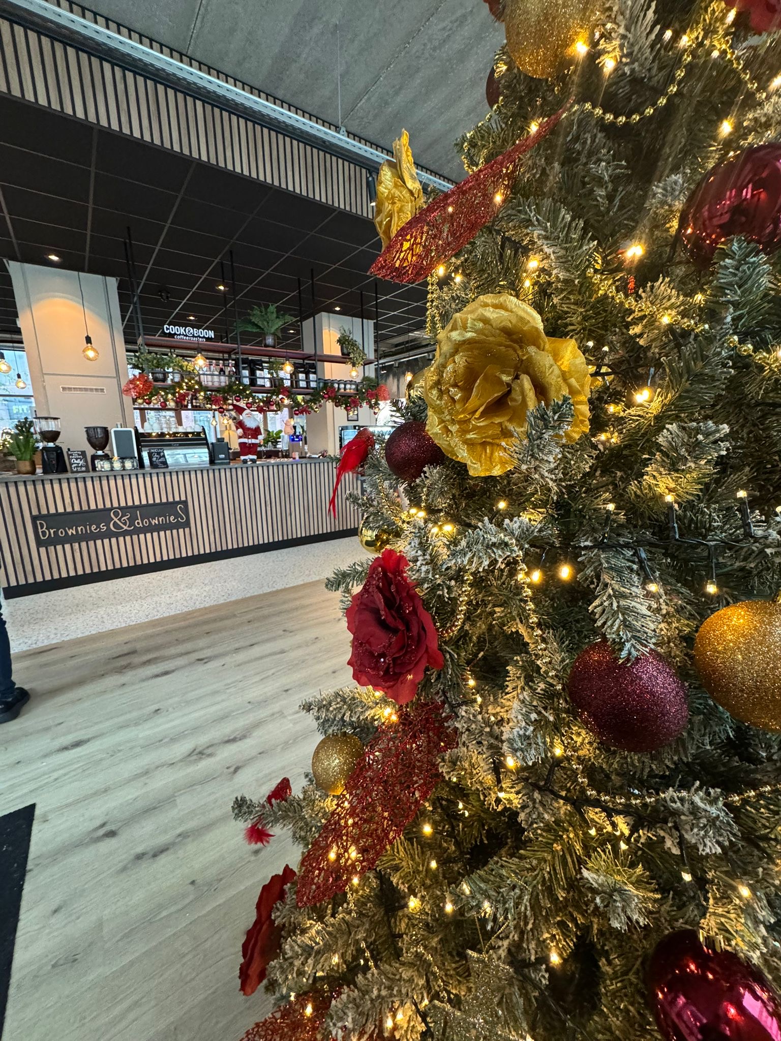 Geniet van een kopje koffie en smakelijke snacks bij Brownies&Downies in Almere Stad.
