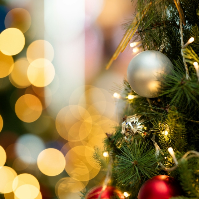 Kerstartikelen huren om een gezellige kerst te organiseren, met inbegrip van kerstbomen en guirlandes, zowel voor zakelijke als particuliere klanten.